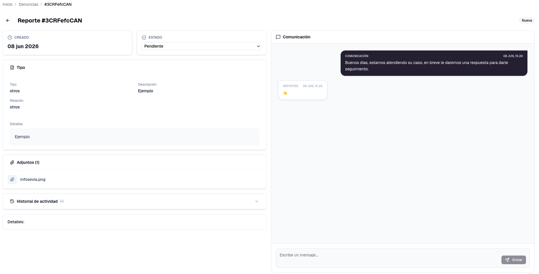 Detalle de la denuncia con la columna de información y el chat